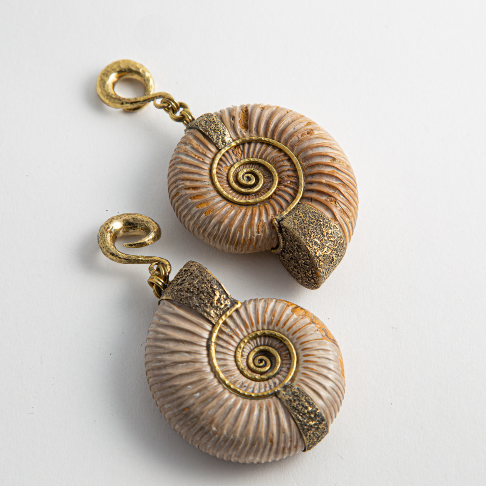 Diablo Organics Diablo Organics brass set Madagascar ammonites on large,  distressed, classic coil