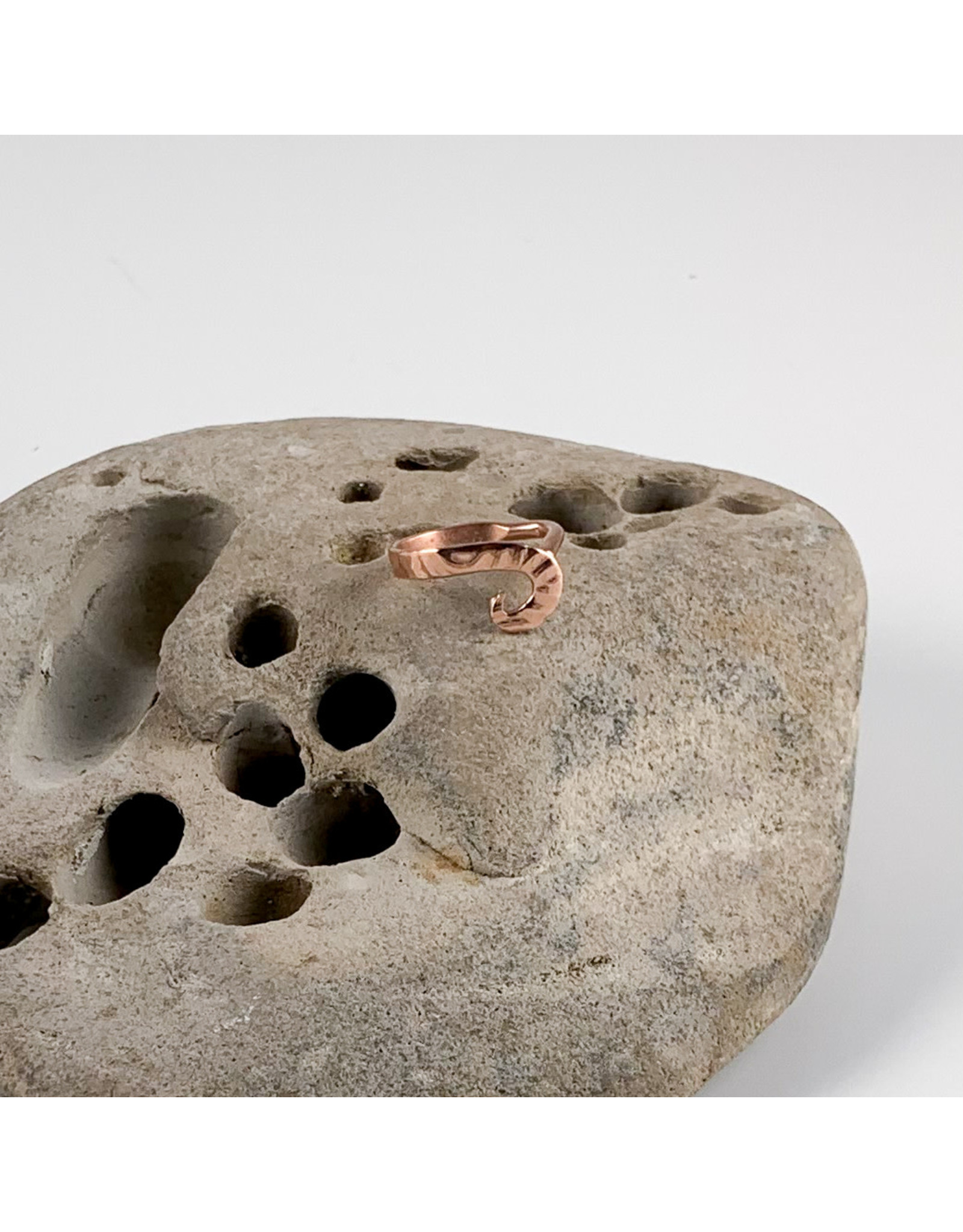 14g 7/16 rose gold embossed "Regulus" conch seam ring 23rd Street