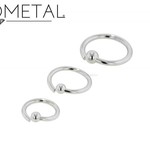 Anatometal Anatometal 20g Steel Fixed Bead Ring