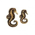 BVLA BVLA "Seahorse"