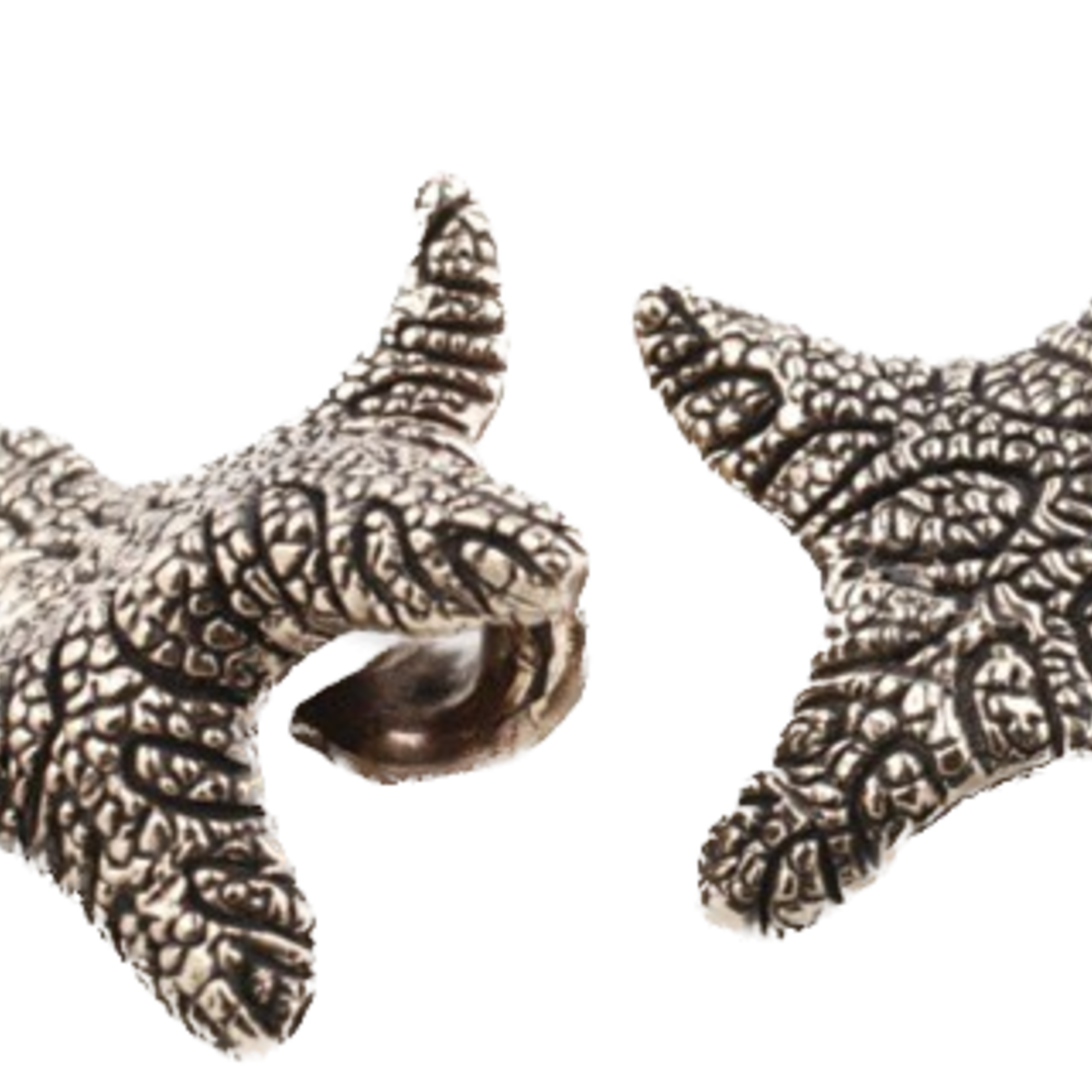 Blessing to you! brass Starfish Weights