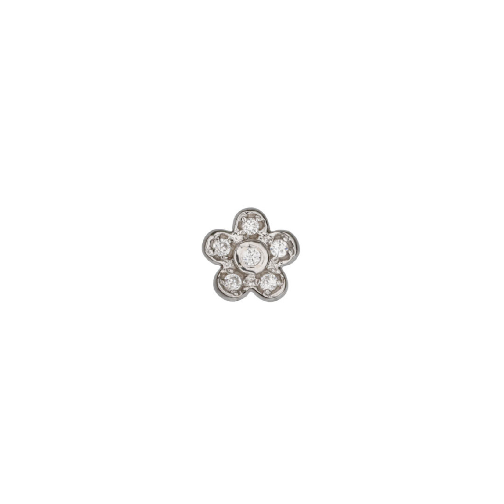 BVLA BVLA 5.0 "Fiore" threaded end with 5x 1.0 CZ