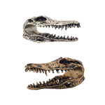 Safe Product Gator Skull Weights