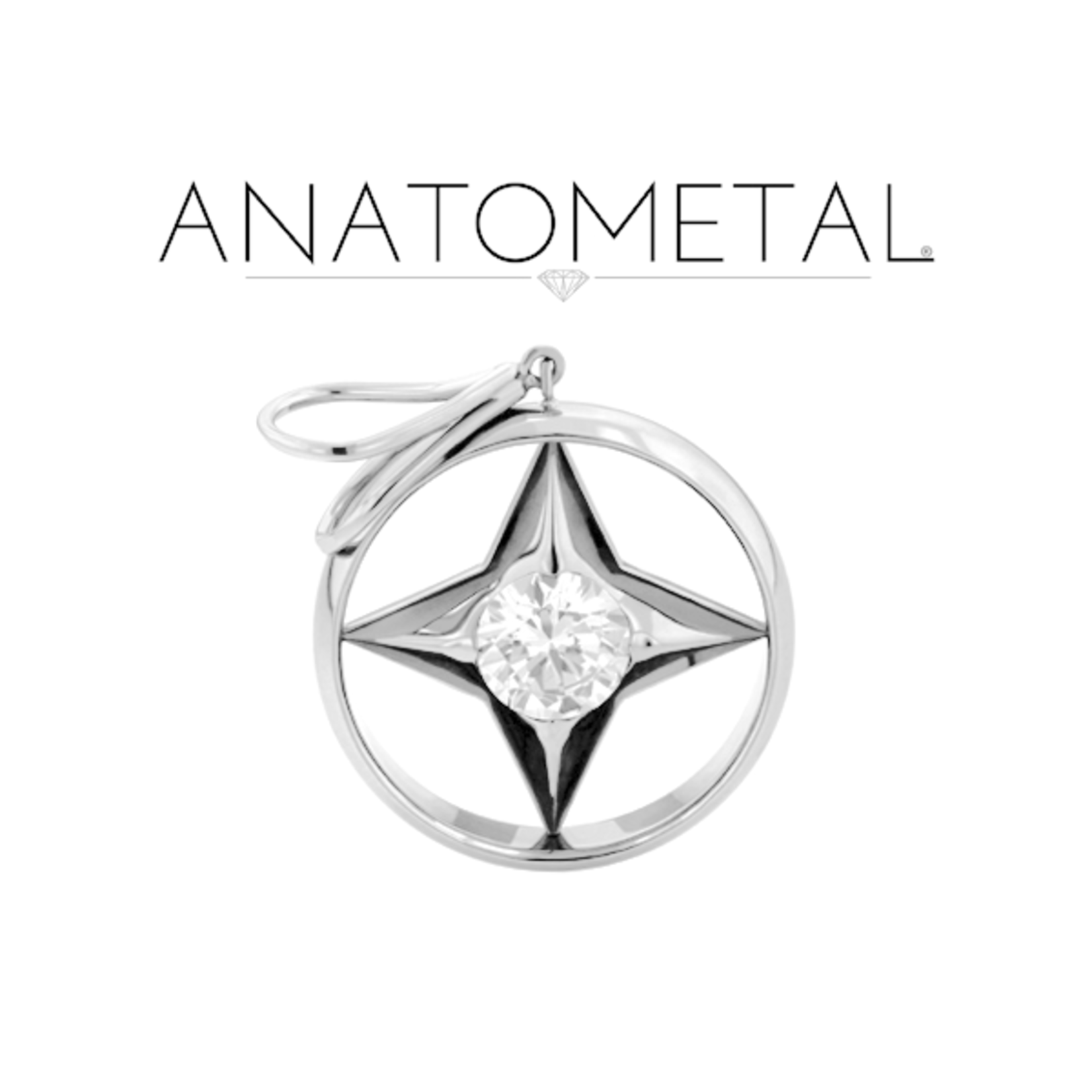 Anatometal Anatometal titanium "Polaris" pendent with CZ