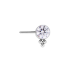 LeRoi LeRoi Titanium "Haute Couture" Nipple End