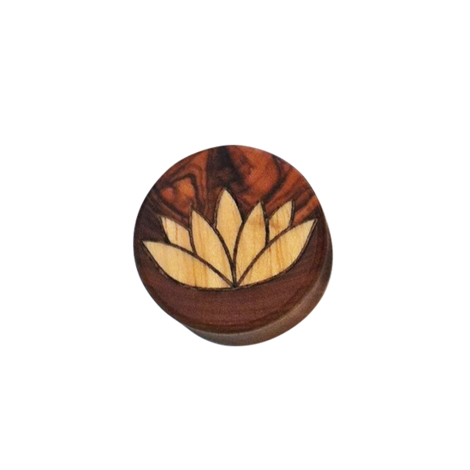 Modifika wood double flared etched plugs.