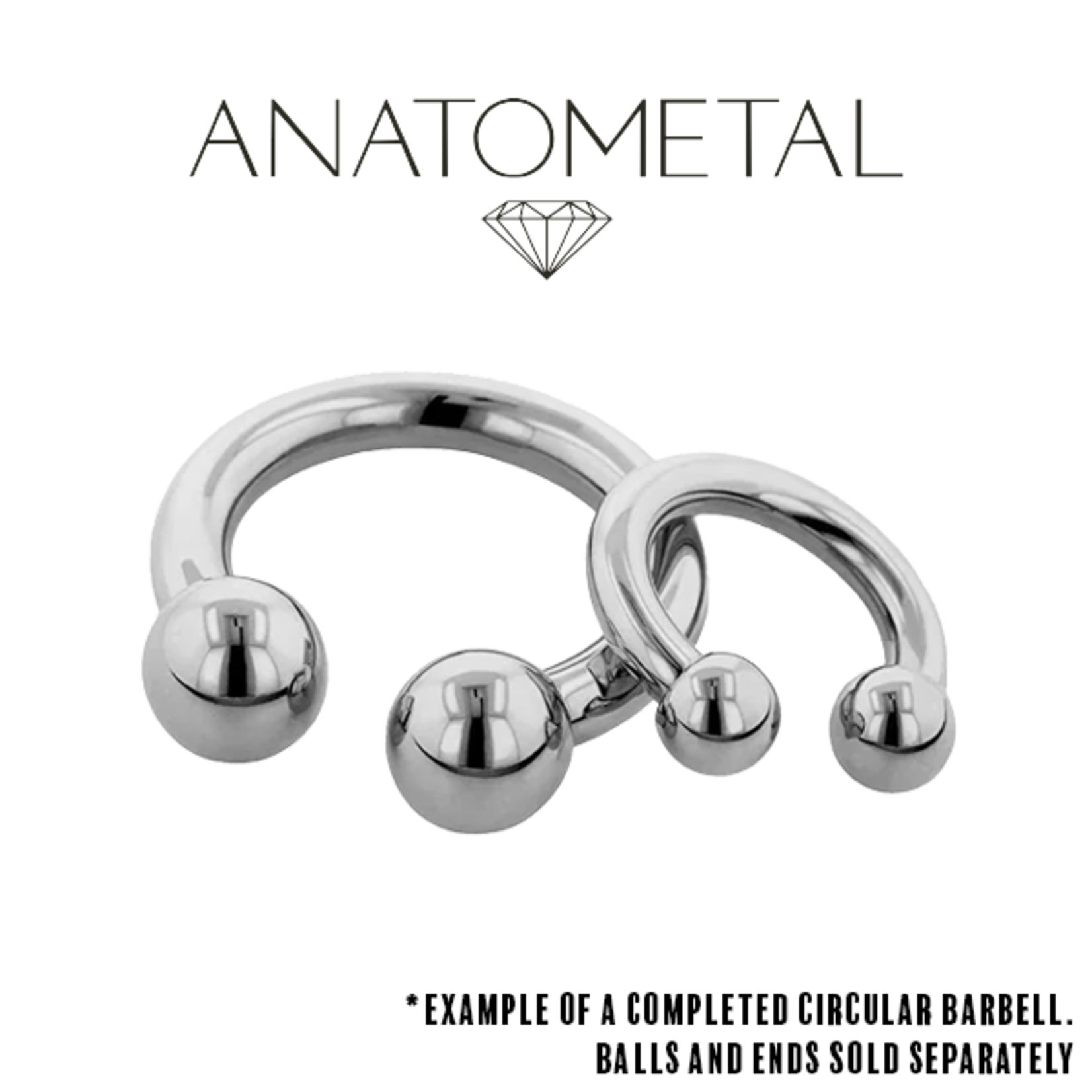 Anatometal Anatometal 16g titanium circular barbell shaft