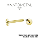 Anatometal Anatometal 16g Gold Flatback with 1/8 Ball