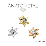Anatometal Anatometal 16g "Pinwheel" Threaded End
