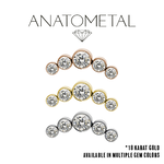 Anatometal Anatometal Curved Threaded Gem Cluster