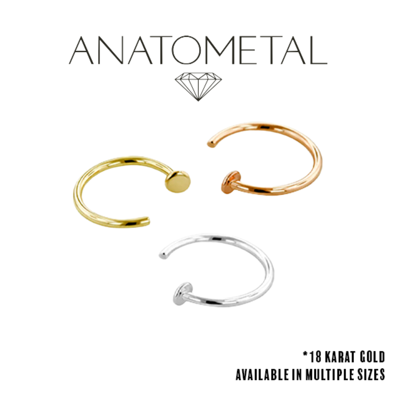 Anatometal Anatometal 18g nostril nail with plain disk