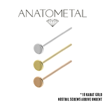 Anatometal Anatometal Disk Nostril Screw