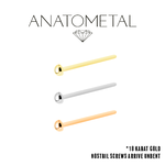 Anatometal Anatometal Dome Nostril Screw