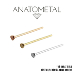 Anatometal Anatometal Puffy Heart Nostril Screw
