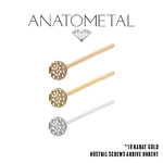 Anatometal Anatometal Hammered Disk Nostril Screw