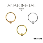 Anatometal Anatometal 16g Ring with Hammered Insert