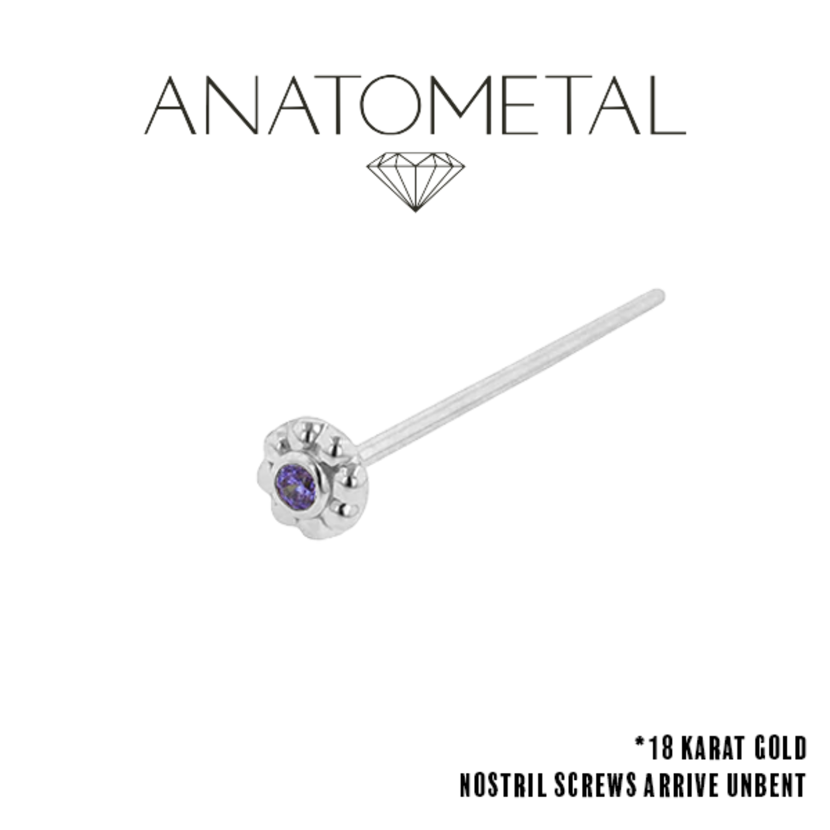 Anatometal Anatometal 20g "Ipsa" nostril screw with purple CZ