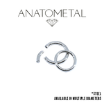 Anatometal Anatometal 6g Steel Segment Ring