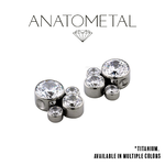 Anatometal Anatometal Titanium Captive Cluster