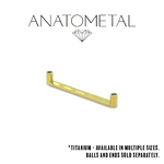 Anatometal Anatometal 14g Titanium Flat Surface Bar