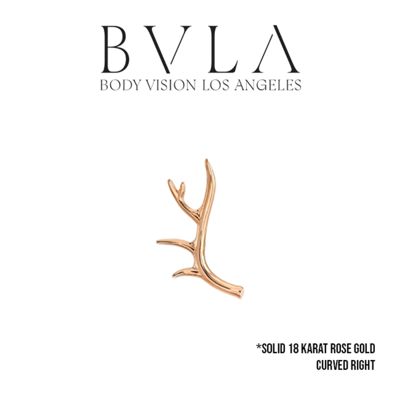 BVLA BVLA 14x10 "Antler" threaded end
