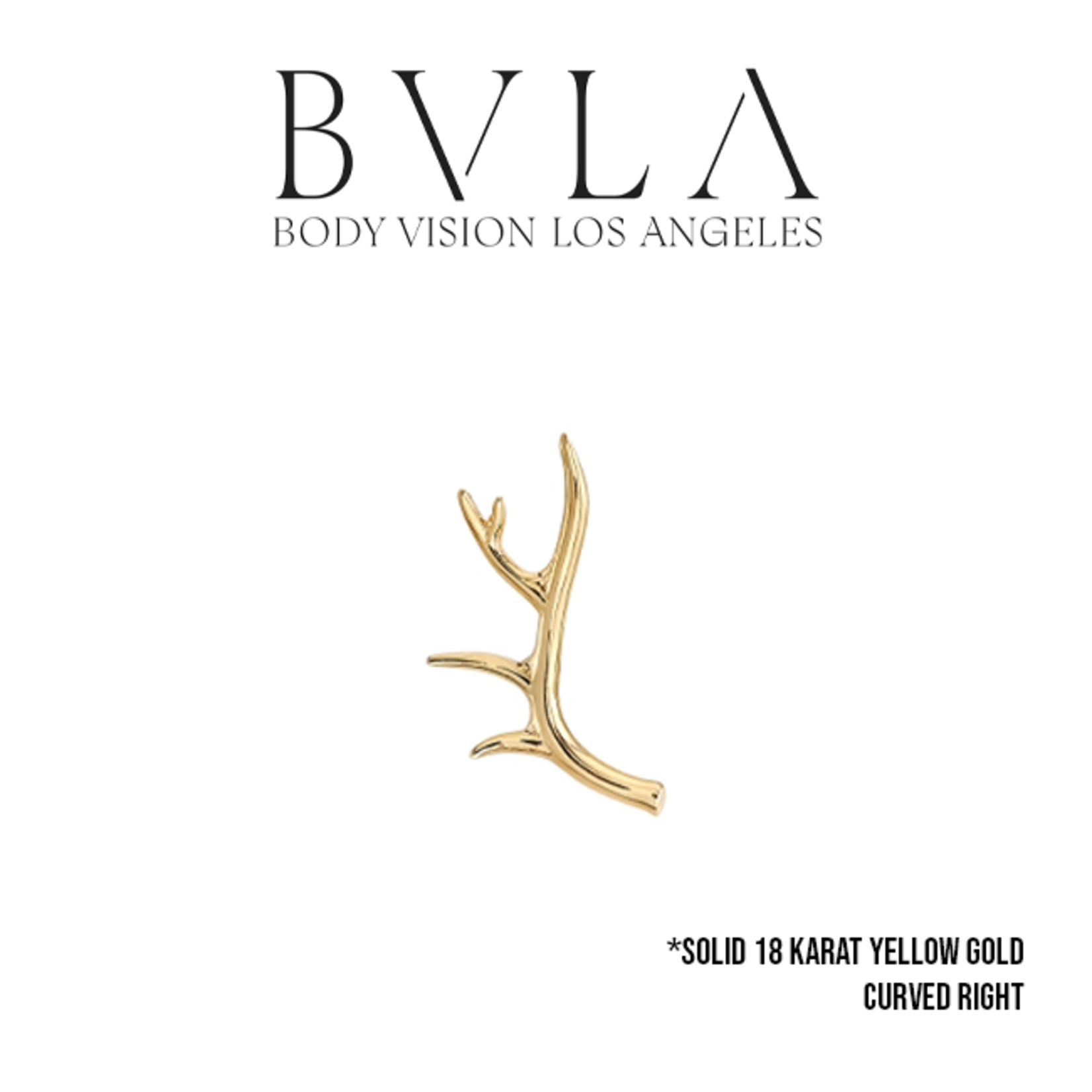 BVLA BVLA 14x10 "Antler" threaded end