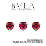 BVLA BVLA 3-Prong Press-Fit AA Ruby