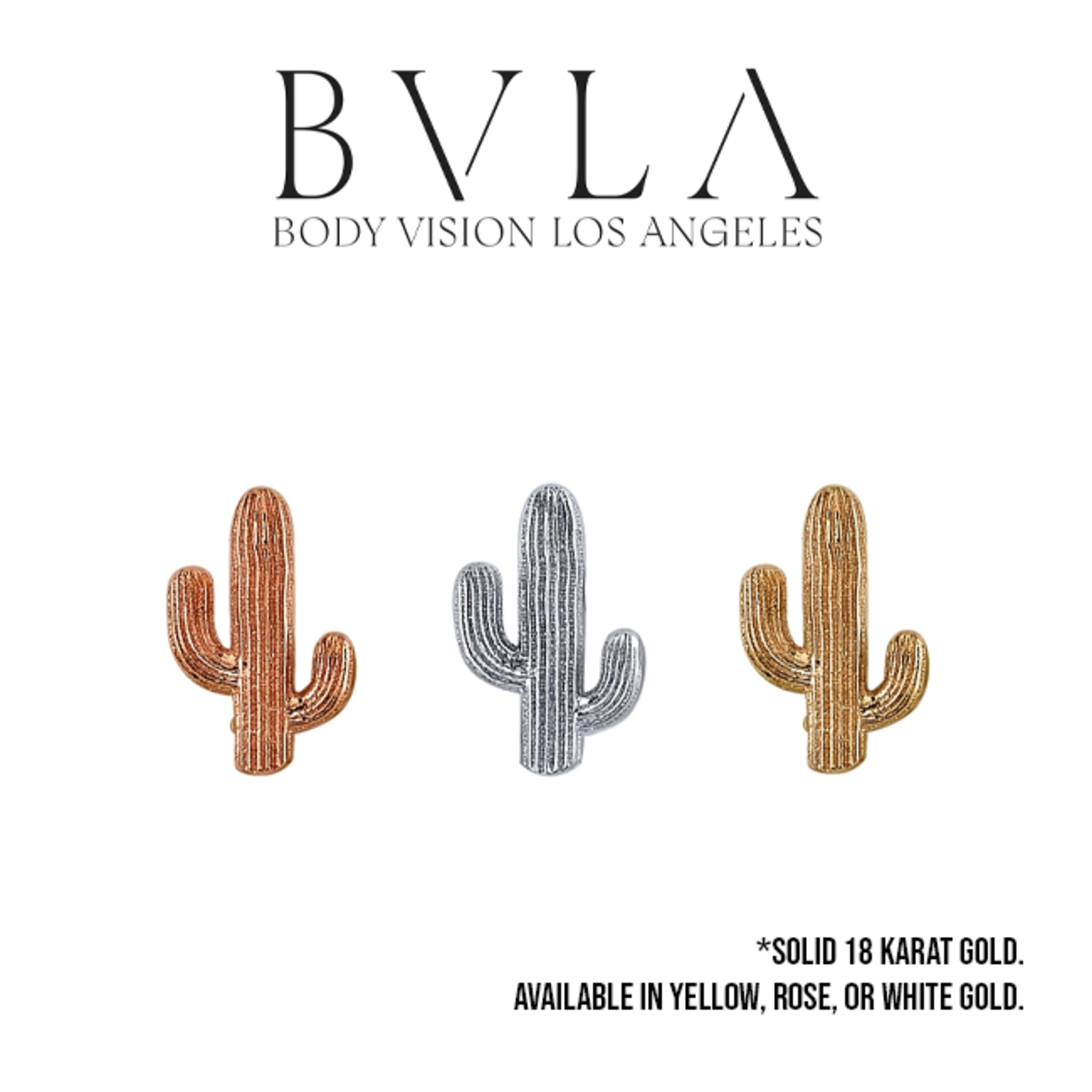 BVLA BVLA "Sonora" cactus press-fit end