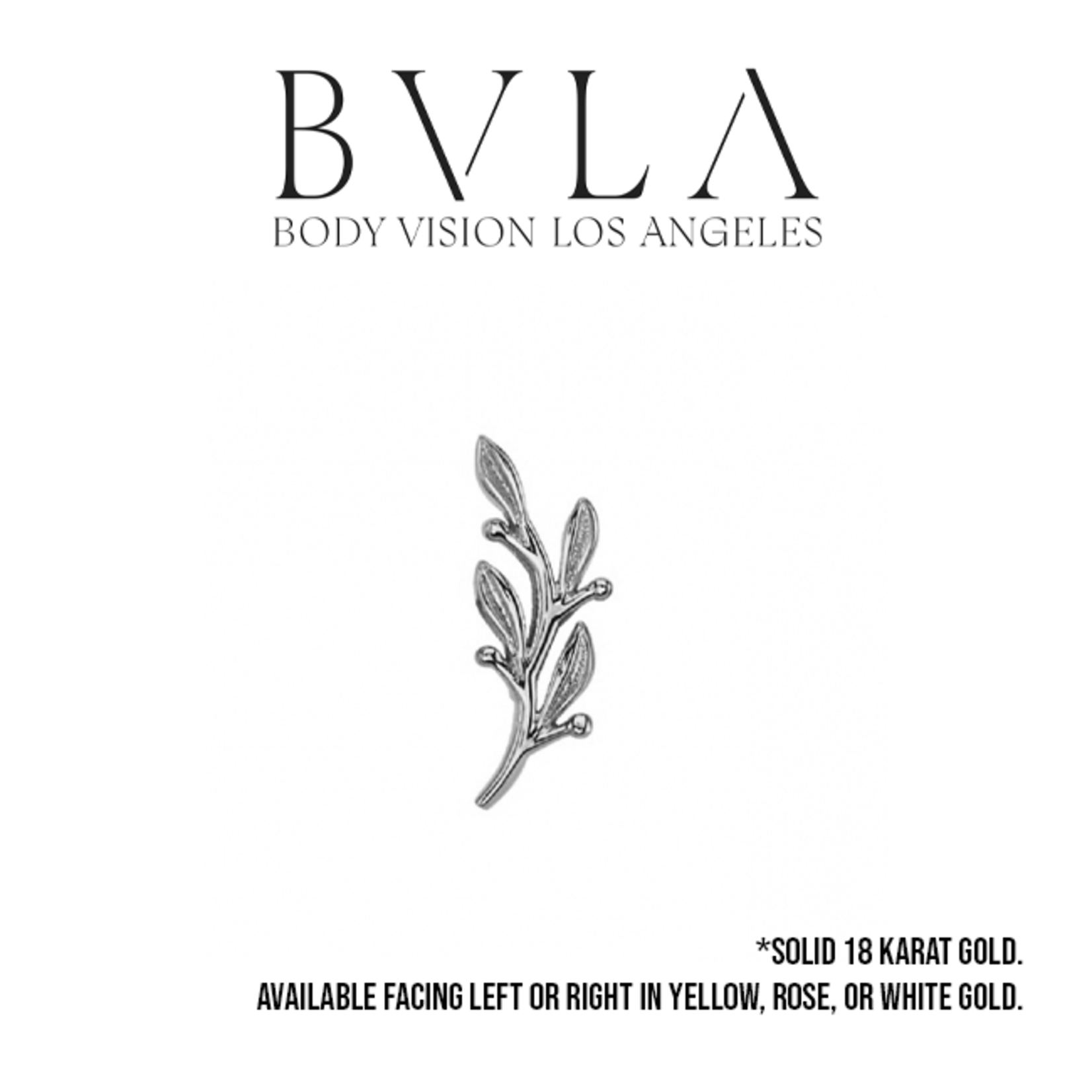 BVLA BVLA 7x2.5 "Tiny Amity" press fit end