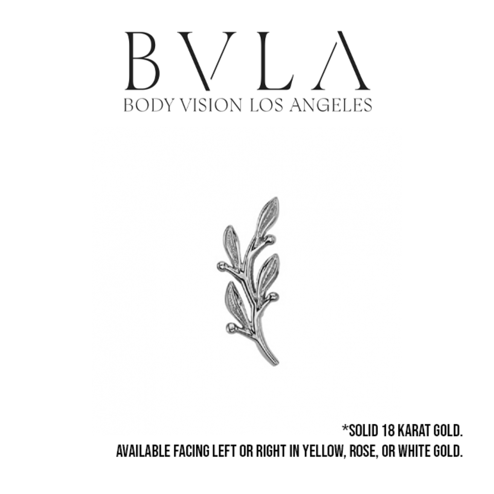 BVLA BVLA 7x2.5 "Tiny Amity" press fit end