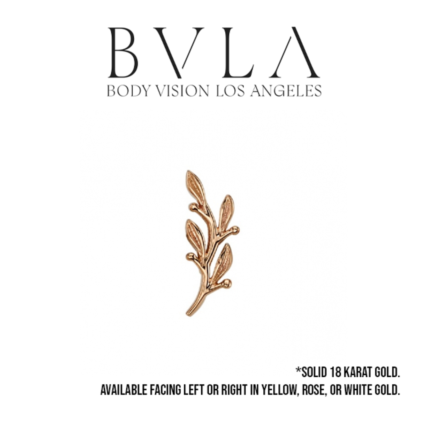 BVLA BVLA 7x2.5 "Tiny Amity" press fit end