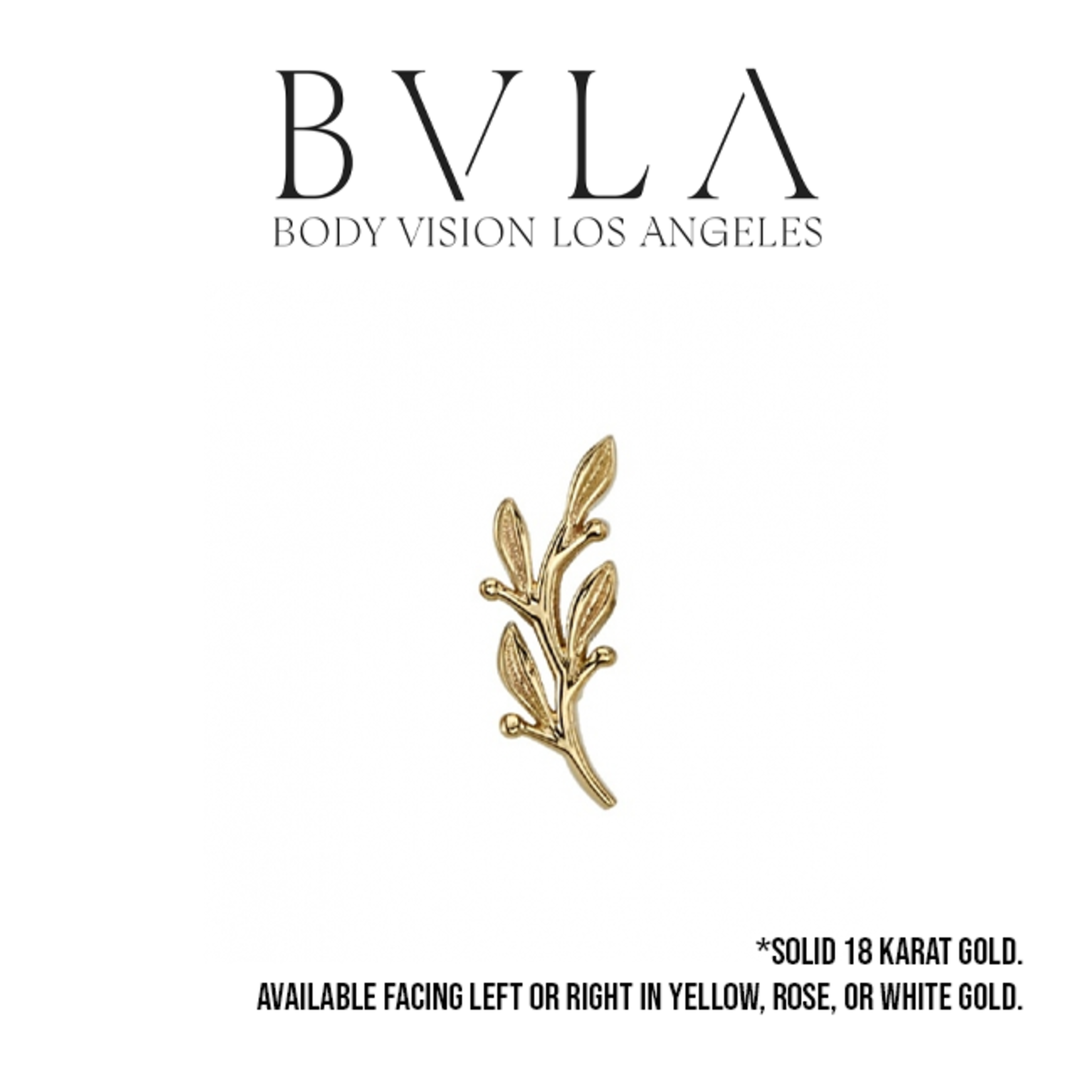 BVLA BVLA 7x2.5 "Tiny Amity" press fit end