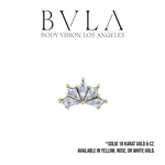 BVLA BVLA "Spirit" with CZ kites