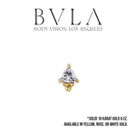 BVLA BVLA "Timka" with CZ Trillion