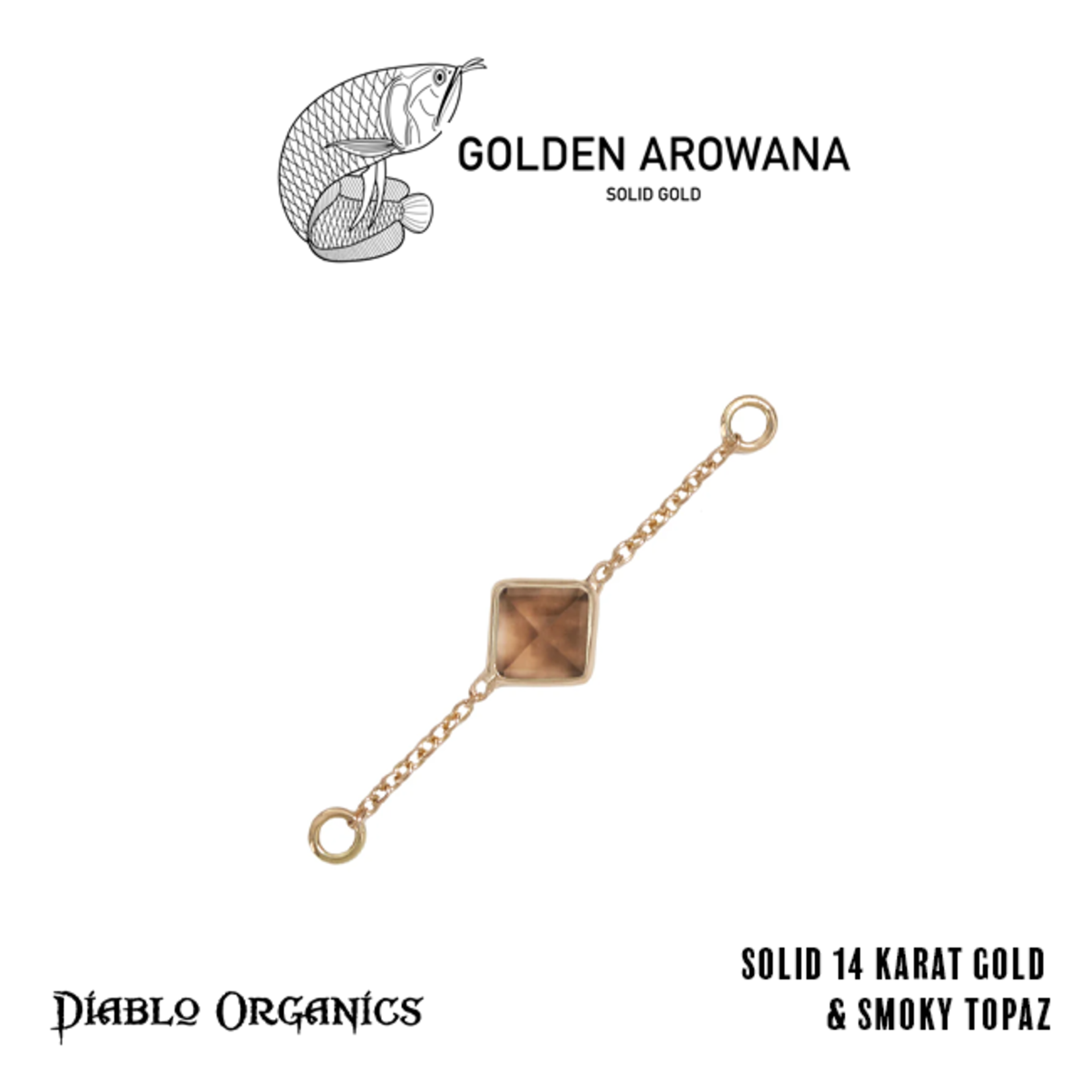 Golden Arowana by Diablo Organics Golden Arowana by Diablo Organics yellow gold chain with single stone.