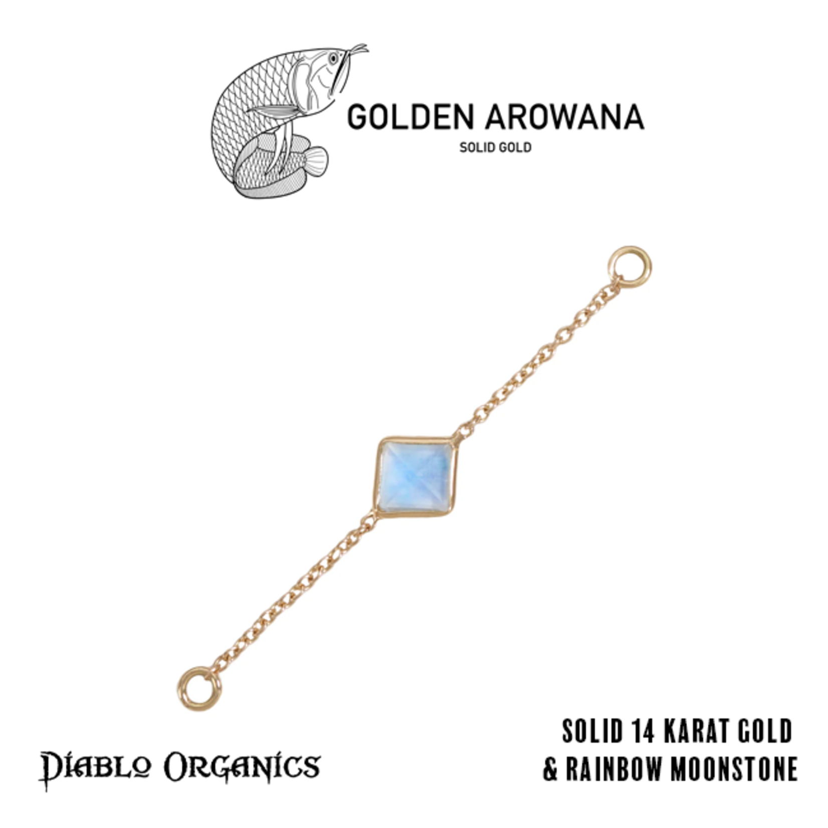 Golden Arowana by Diablo Organics Golden Arowana by Diablo Organics yellow gold chain with single stone.