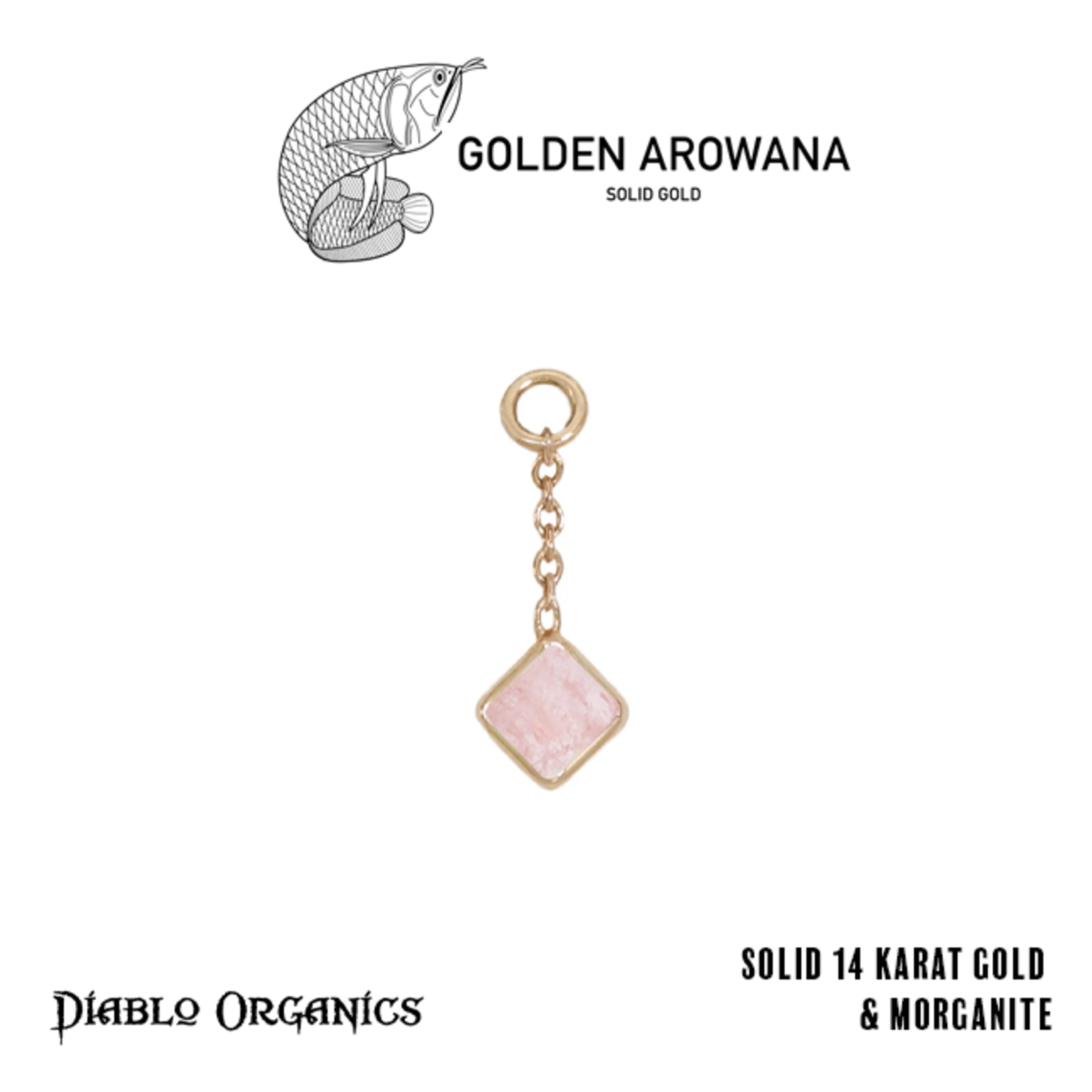 Golden Arowana by Diablo Organics Golden Arowana by Diablo Organics 16g 12.0 yellow gold Square charm.