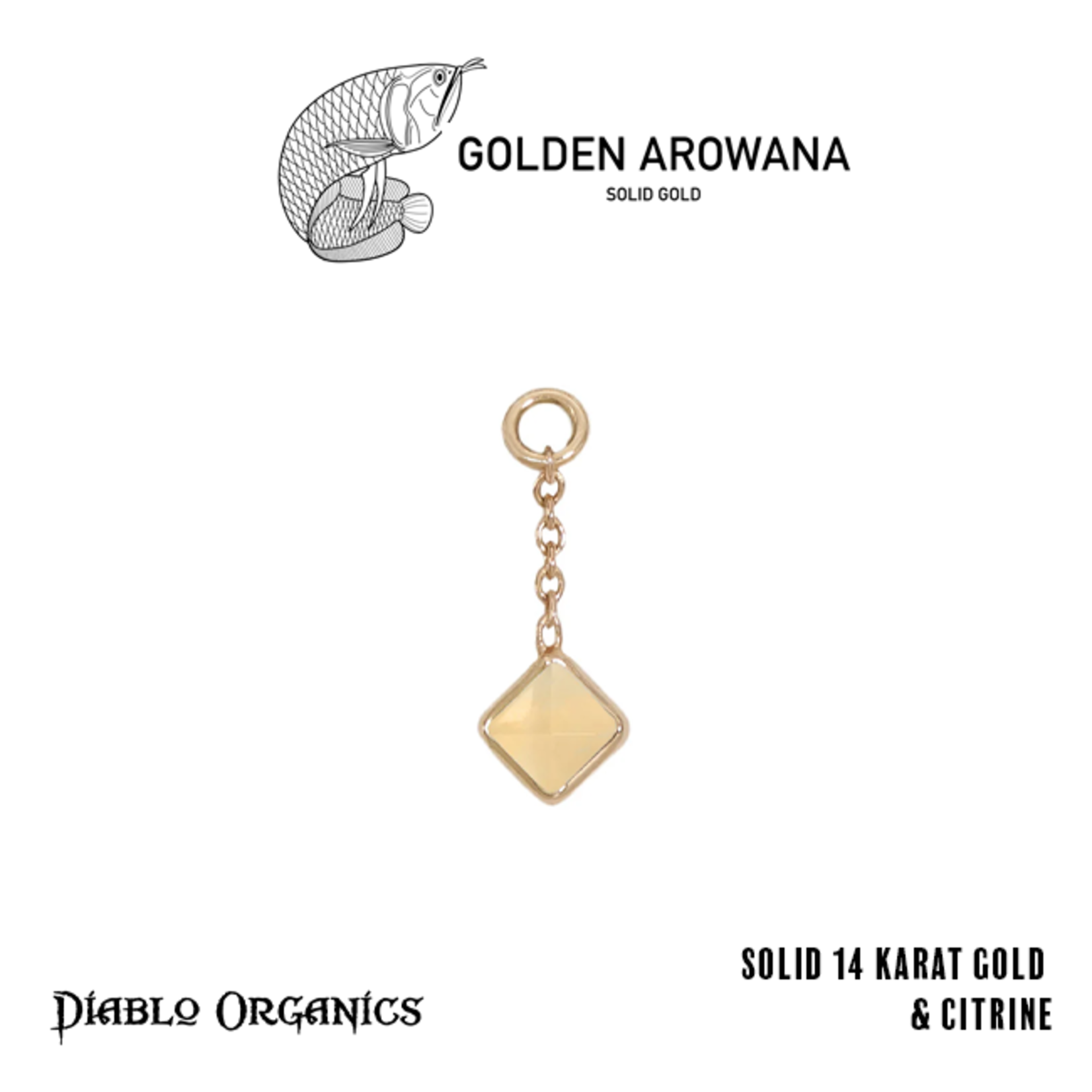 Golden Arowana by Diablo Organics Golden Arowana by Diablo Organics 16g 12.0 yellow gold Square charm.