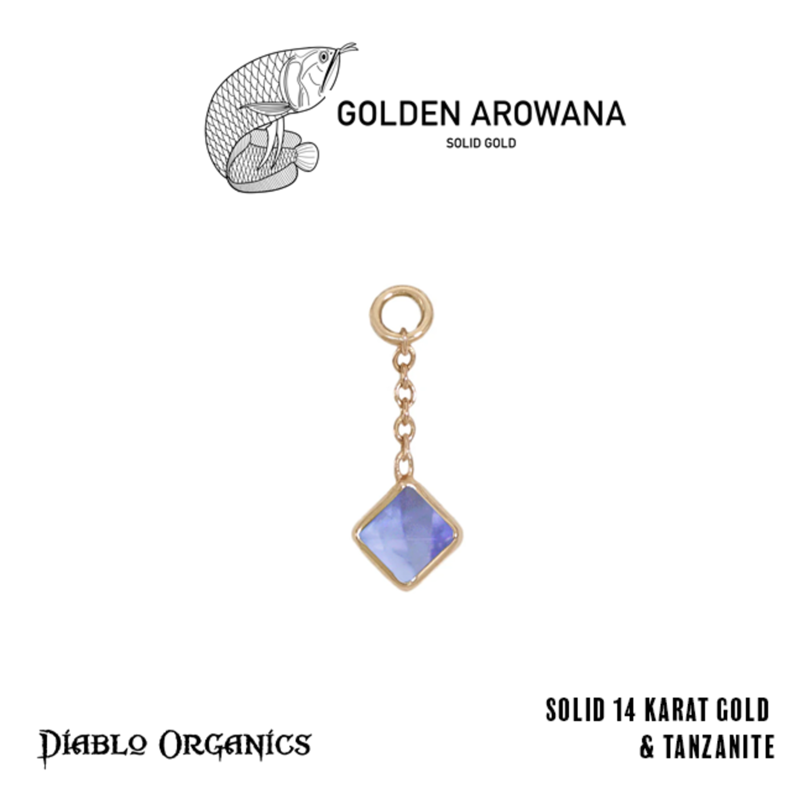 Golden Arowana by Diablo Organics Golden Arowana by Diablo Organics 16g 12.0 yellow gold Square charm.