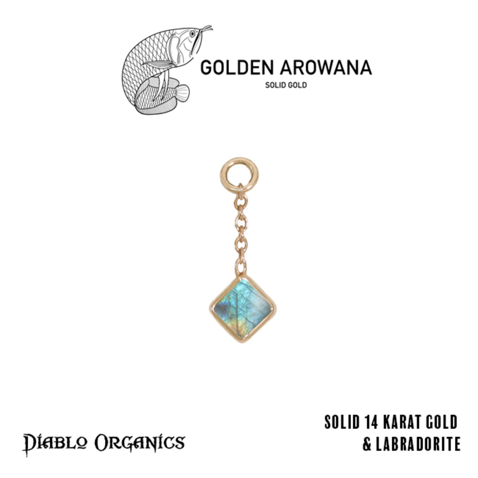 Golden Arowana by Diablo Organics Golden Arowana by Diablo Organics 16g 12.0 yellow gold Square charm.