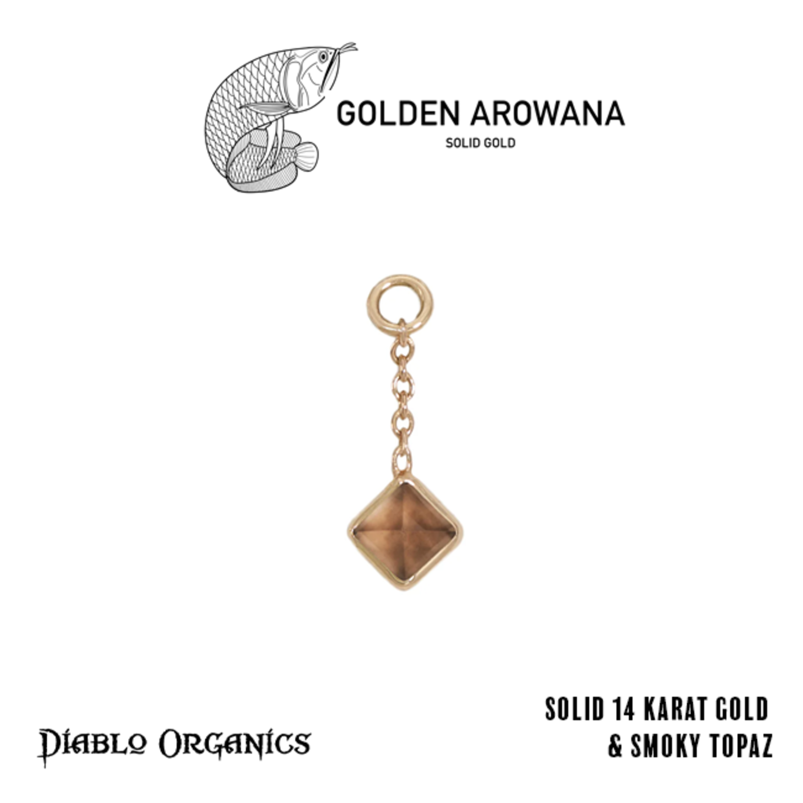 Golden Arowana by Diablo Organics Golden Arowana by Diablo Organics 16g 12.0 yellow gold Square charm.