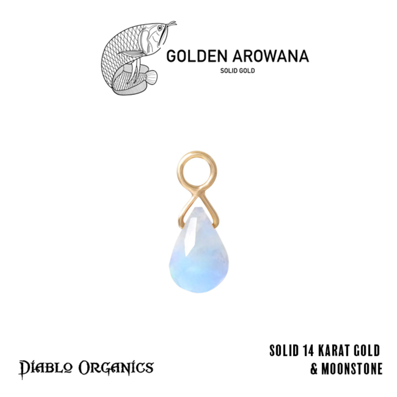 Golden Arowana by Diablo Organics Golden Arowana by Diablo Organics yellow gold "Briolette" single-stone charm