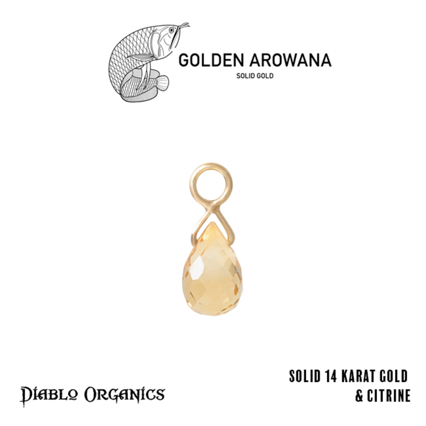 Golden Arowana by Diablo Organics Golden Arowana by Diablo Organics yellow gold "Briolette" single-stone charm