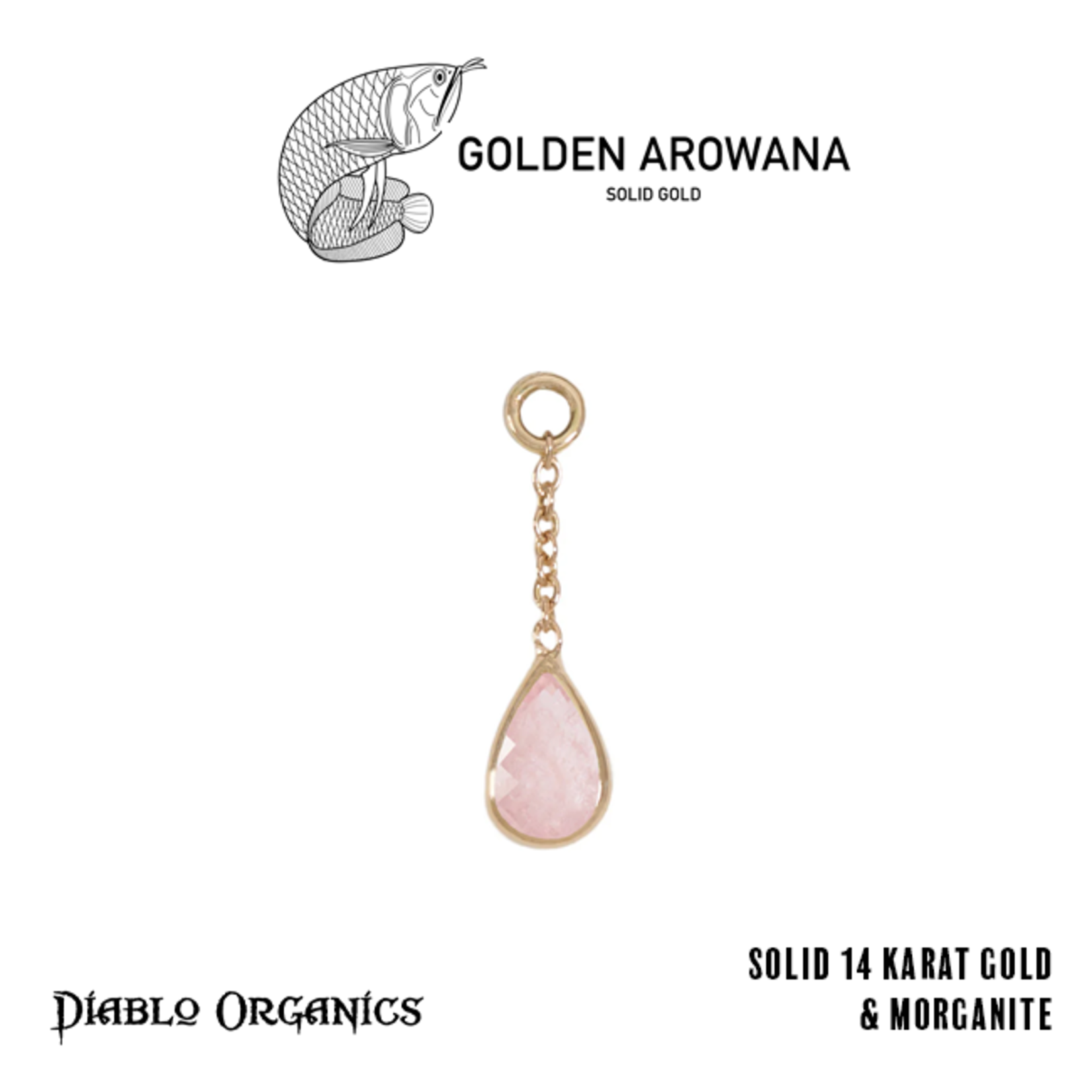 Golden Arowana by Diablo Organics Golden Arowana by Diablo Organics 13.0 yellow gold charm with teardrop cut stones