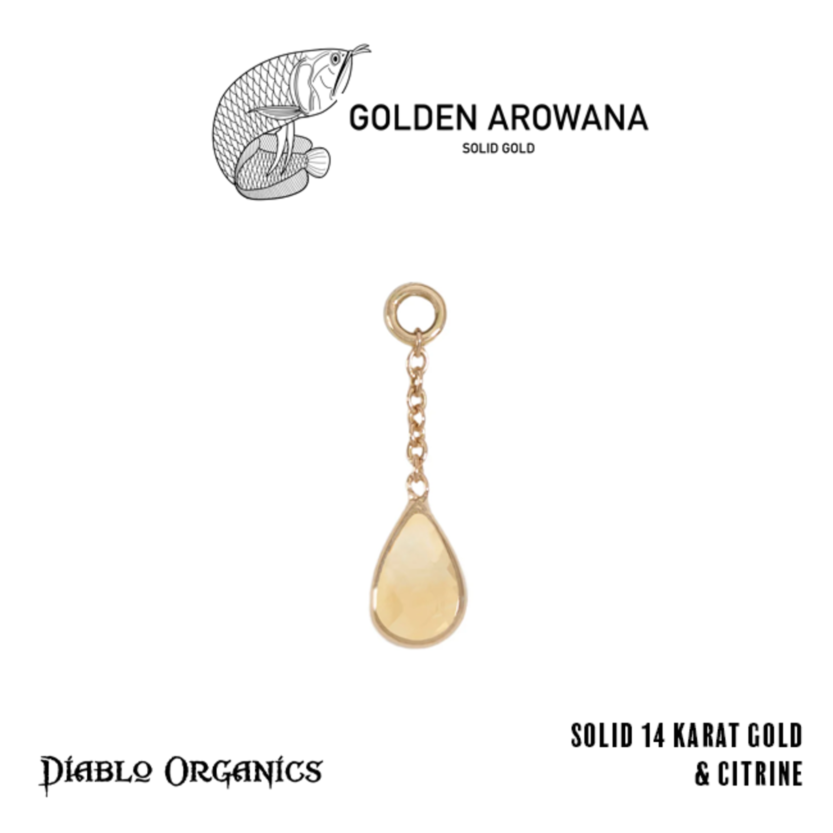 Golden Arowana by Diablo Organics Golden Arowana by Diablo Organics 13.0 yellow gold charm with teardrop cut stones
