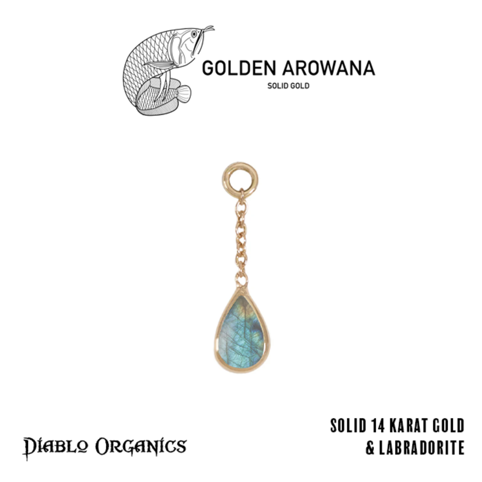 Golden Arowana by Diablo Organics Golden Arowana by Diablo Organics 13.0 yellow gold charm with teardrop cut stones