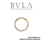 BVLA BVLA 16g "Oaktier" with CZ