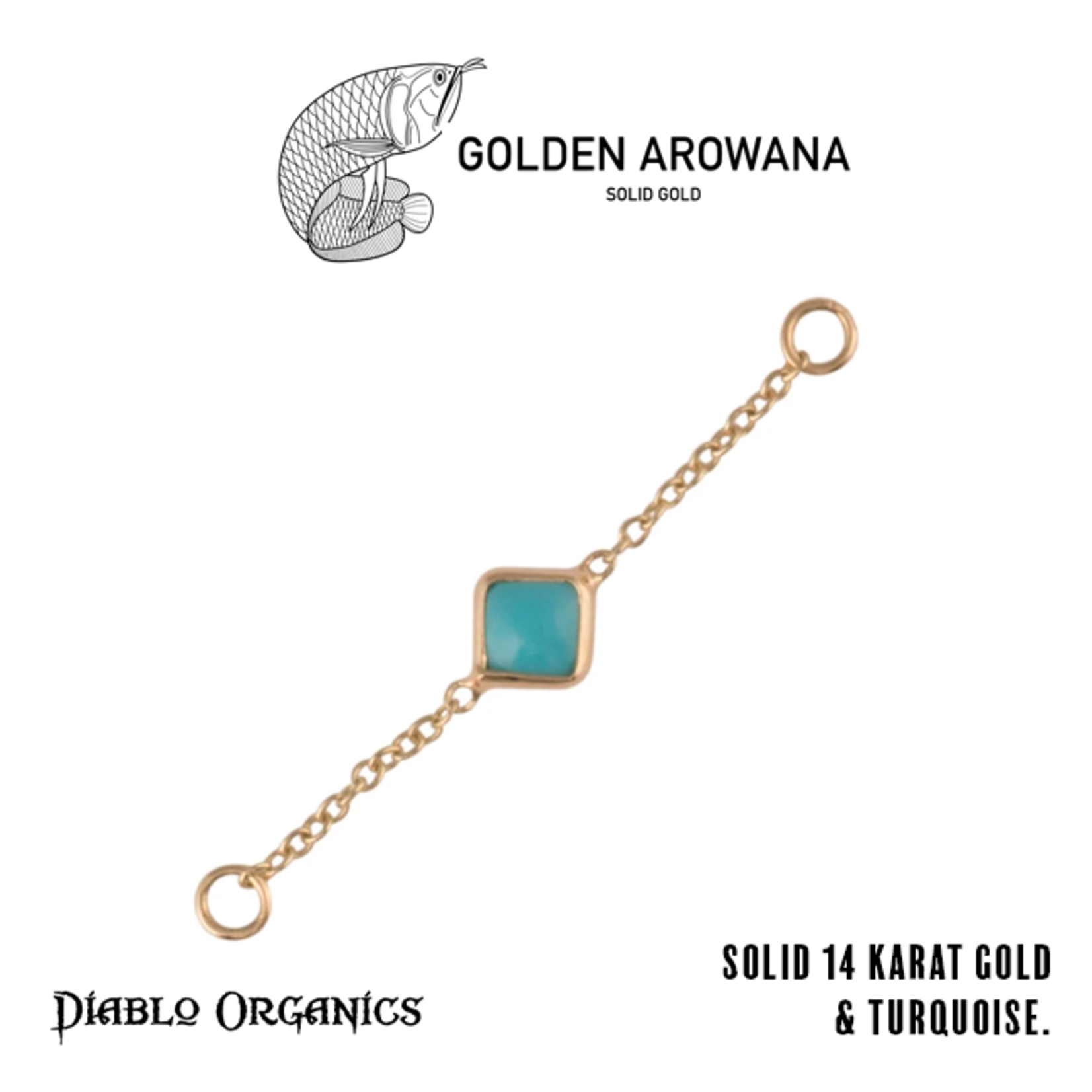 Golden Arowana by Diablo Organics Golden Arowana by Diablo Organics yellow gold chain with single stone.