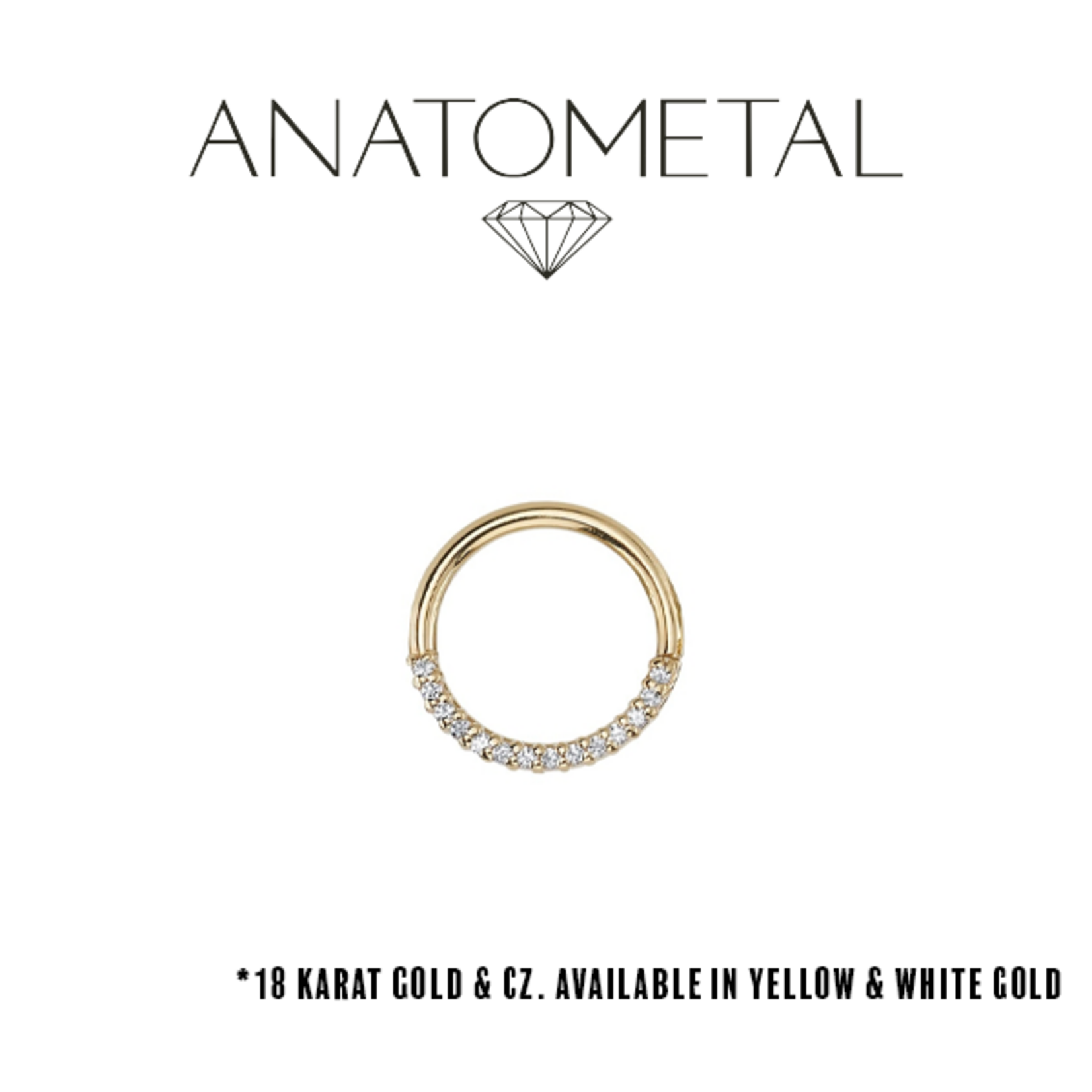 Anatometal Anatometal 16g "Transition" seam ring with 9x 1.0 CZ