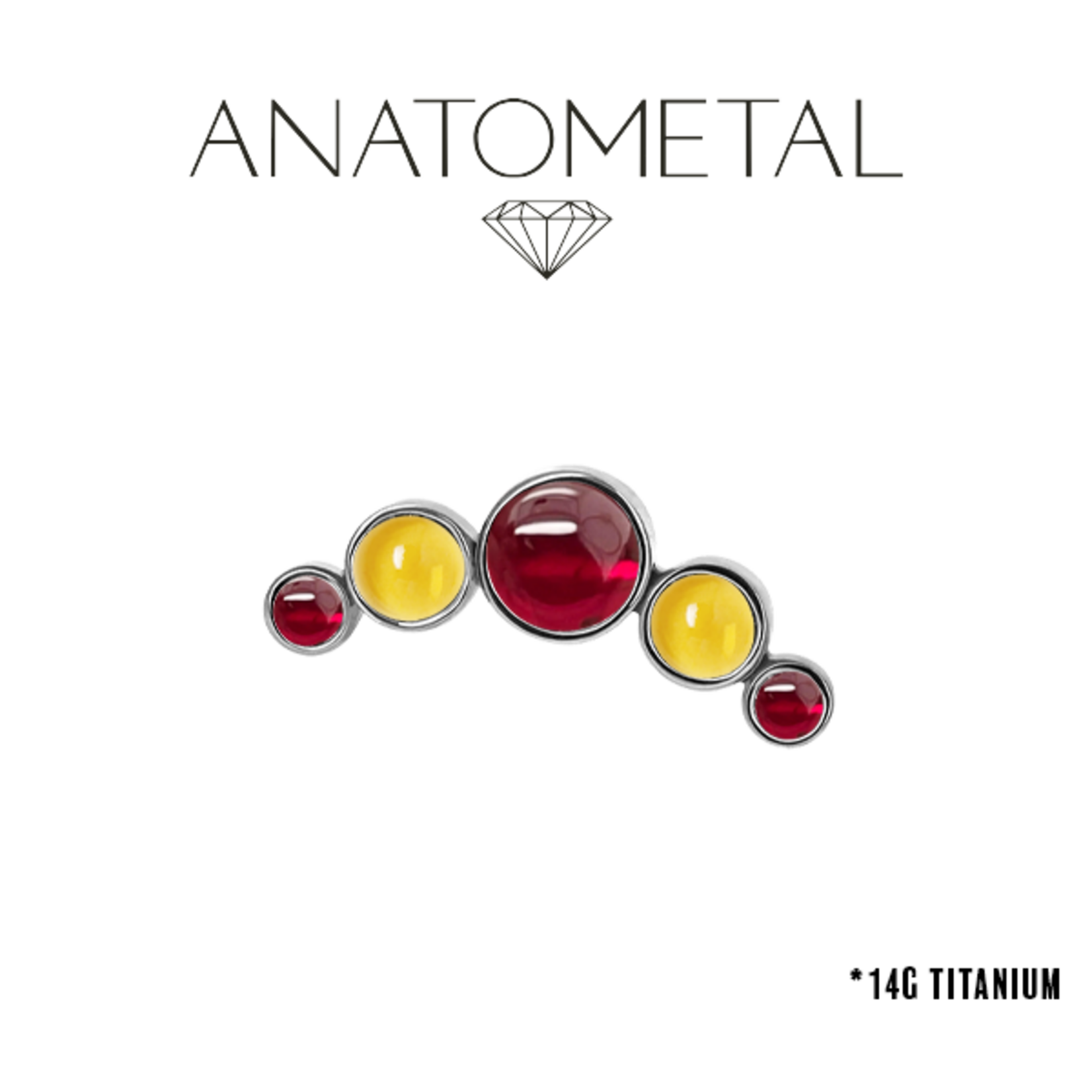 Anatometal Anatometal 14g titanium 5 gem cluster threaded end